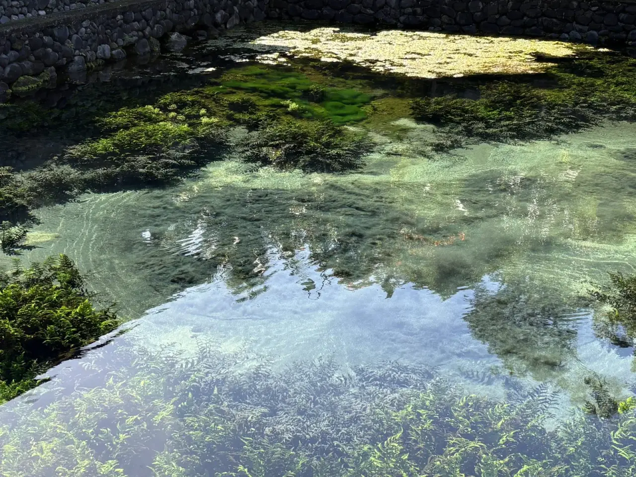 Pura Tirta Empul, Tampaksiring Bali - holy spring purification pools