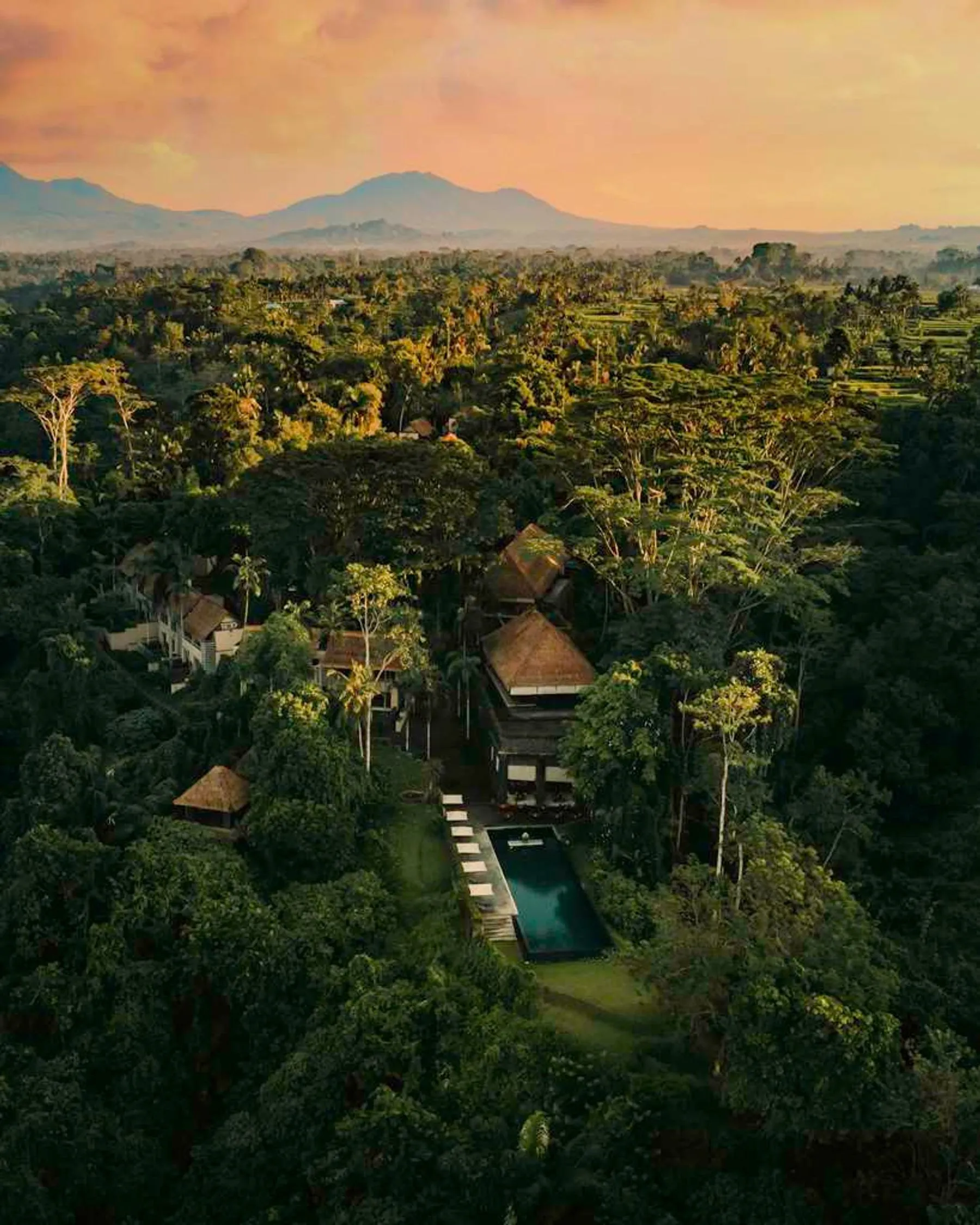 Alila Ubud, Gianyar Bali - jungle resort exterior