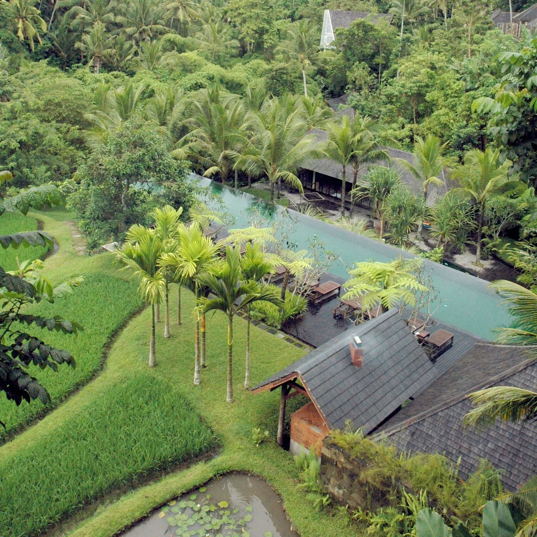 Komaneka at Bisma, Bali - property / grounds