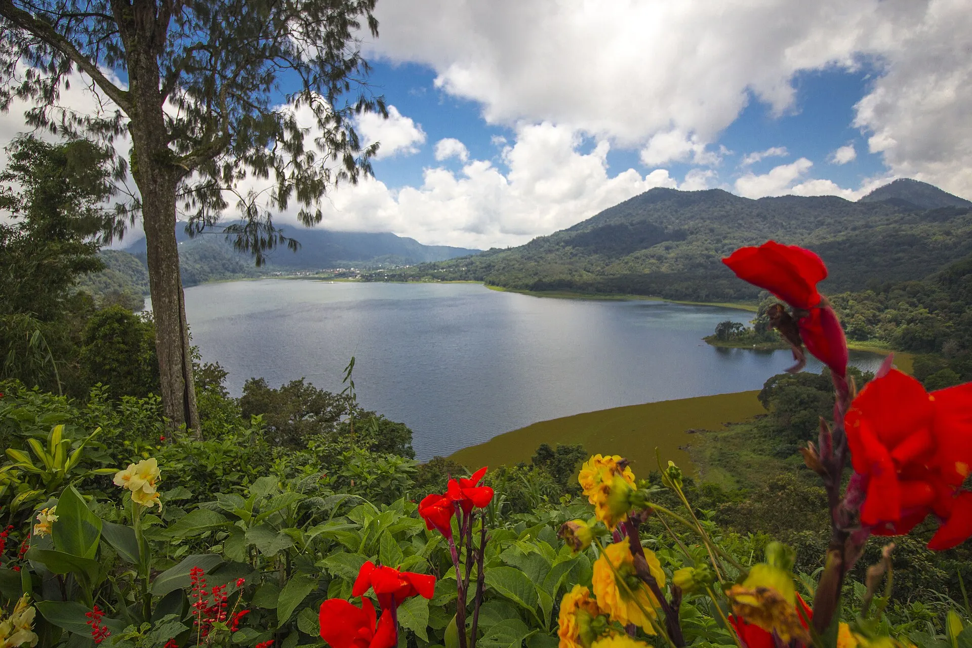 Lake Buyan caldera view, Pancasari Buleleng Bali