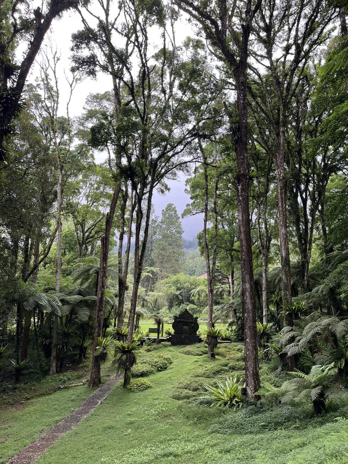Bali Botanical Garden, Bedugul Bali - garden path, lawn, and highland trees